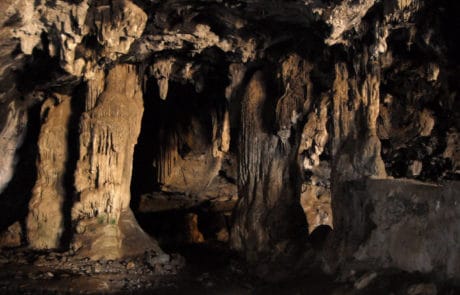 Cave Of Bear